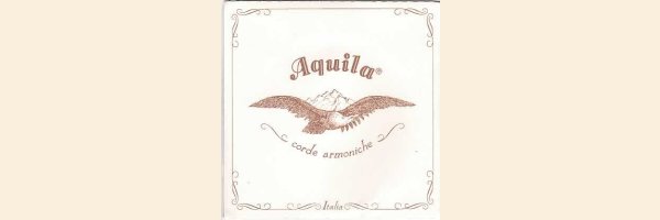 Aquila - Nylgut umsponnen D / DE