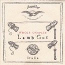 Aquila treble viol silver-plated G5 101FU / 1.5