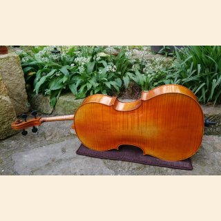 Instrumententeppich Cello braun